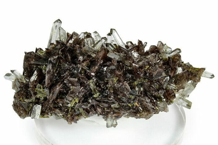 Sharp Axinite Crystal Cluster - Peru #347932